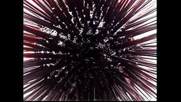 Free download Venus pool - opening credits video and edit with RedcoolMedia movie maker MovieStudio video editor online and AudioStudio audio editor onlin