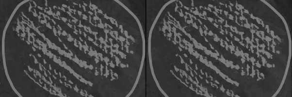 Free download Verheimen video and edit with RedcoolMedia movie maker MovieStudio video editor online and AudioStudio audio editor onlin