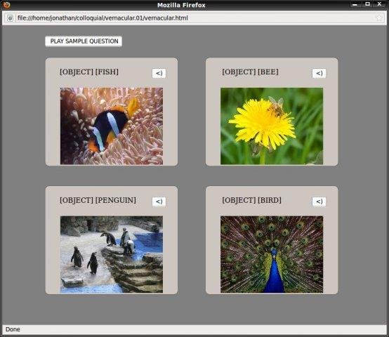 Download web tool or web app Vernacular