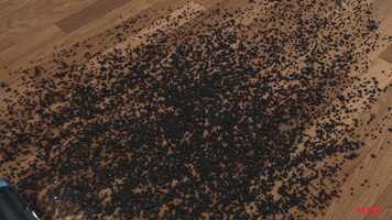 Free download Vestel Yıldız S8500 Advertisement video and edit with RedcoolMedia movie maker MovieStudio video editor online and AudioStudio audio editor onlin