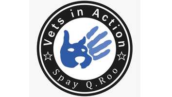 Free download Vets in Action Spay Q. Roo - Corporate, Trailer - video and edit with RedcoolMedia movie maker MovieStudio video editor online and AudioStudio audio editor onlin