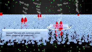 Free download Veyonda(r) Mode of Action video and edit with RedcoolMedia movie maker MovieStudio video editor online and AudioStudio audio editor onlin