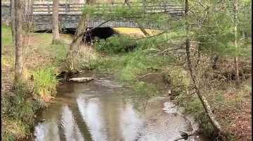 Free download Vickery Family Fun March 28, 2020 video and edit with RedcoolMedia movie maker MovieStudio video editor online and AudioStudio audio editor onlin