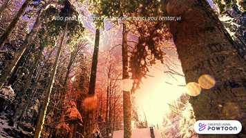 Free download Vida que segue video and edit with RedcoolMedia movie maker MovieStudio video editor online and AudioStudio audio editor onlin