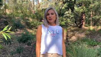 Free download Video 5- Reflection, Accountability  Action video and edit with RedcoolMedia movie maker MovieStudio video editor online and AudioStudio audio editor onlin