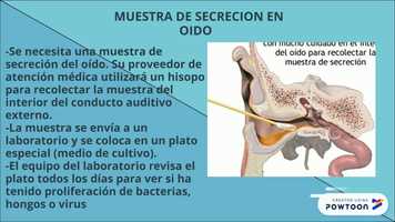 Free download video de Infecciosos video and edit with RedcoolMedia movie maker MovieStudio video editor online and AudioStudio audio editor onlin