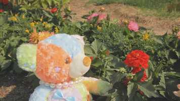 Free download Video Diary (2017) video and edit with RedcoolMedia movie maker MovieStudio video editor online and AudioStudio audio editor onlin