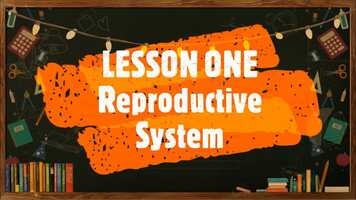 Free download Video Lesson #1 - 2nd Term - Science 4 - Reproductive System.mp4 video and edit with RedcoolMedia movie maker MovieStudio video editor online and AudioStudio audio editor onlin