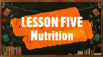 Free download Video Lesson #5 - 1st Term - Science 8 - Nutrition video and edit with RedcoolMedia movie maker MovieStudio video editor online and AudioStudio audio editor onlin