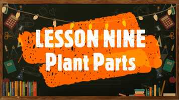 Free download Video Lesson #9 - 1st Term - Science 4 - Plant parts.mp4 video and edit with RedcoolMedia movie maker MovieStudio video editor online and AudioStudio audio editor onlin