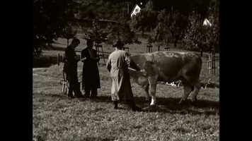 Free download Viehschau 1953 der Viehzuchtgenossenschaft Schaffhausen. video and edit with RedcoolMedia movie maker MovieStudio video editor online and AudioStudio audio editor onlin