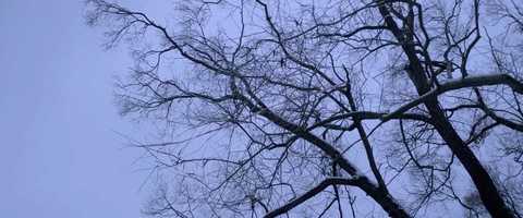 Free download Viento - Wind in movies video and edit with RedcoolMedia movie maker MovieStudio video editor online and AudioStudio audio editor onlin