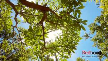 Free download Vietuc Varea - Phim 3D giới thiệu dự n - Redbox Vietnam.mp4 video and edit with RedcoolMedia movie maker MovieStudio video editor online and AudioStudio audio editor onlin