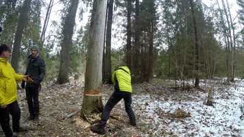 Free download vigvams 2018 video and edit with RedcoolMedia movie maker MovieStudio video editor online and AudioStudio audio editor onlin