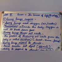 Free download Vi icse science video and edit with RedcoolMedia movie maker MovieStudio video editor online and AudioStudio audio editor onlin