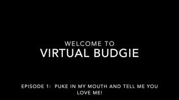Free download Virtual Budgie - Episode 1.mp4 video and edit with RedcoolMedia movie maker MovieStudio video editor online and AudioStudio audio editor onlin