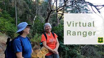 Free download Virtual Ranger - Pika Watch video and edit with RedcoolMedia movie maker MovieStudio video editor online and AudioStudio audio editor onlin