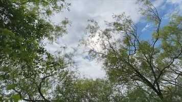 Free download Virtual Service for 11th July 2021 video and edit with RedcoolMedia movie maker MovieStudio video editor online and AudioStudio audio editor onlin