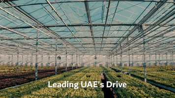 Free download Virtual WETEX 2020 Movie video and edit with RedcoolMedia movie maker MovieStudio video editor online and AudioStudio audio editor onlin