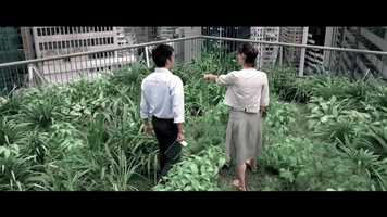 Free download VISION_FILM_URMANISONS_ALTAREA_v3 video and edit with RedcoolMedia movie maker MovieStudio video editor online and AudioStudio audio editor onlin