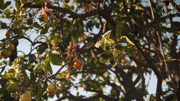 Free download Visions Music Video video and edit with RedcoolMedia movie maker MovieStudio video editor online and AudioStudio audio editor onlin