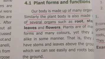 Free download Vi STD science video and edit with RedcoolMedia movie maker MovieStudio video editor online and AudioStudio audio editor onlin