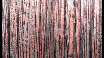 Free download Visual Sound 3 video and edit with RedcoolMedia movie maker MovieStudio video editor online and AudioStudio audio editor onlin