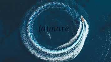 Free download Vivi_Movie_With_Music video and edit with RedcoolMedia movie maker MovieStudio video editor online and AudioStudio audio editor onlin