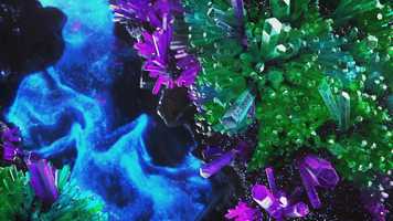 Free download VIZIO - The Wonder Of OLED video and edit with RedcoolMedia movie maker MovieStudio video editor online and AudioStudio audio editor onlin