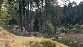 Free download Vodafone Giga DC video and edit with RedcoolMedia movie maker MovieStudio video editor online and AudioStudio audio editor onlin