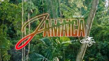Free download Voices of Jamaica ft Jorja Smith video and edit with RedcoolMedia movie maker MovieStudio video editor online and AudioStudio audio editor onlin