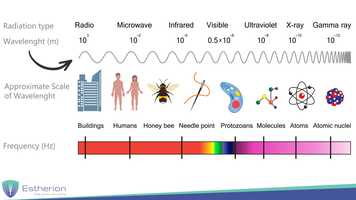 Free download Voorproefje Cursus Basisbegrippen video and edit with RedcoolMedia movie maker MovieStudio video editor online and AudioStudio audio editor onlin