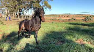 Free download Voorslag Stud video and edit with RedcoolMedia movie maker MovieStudio video editor online and AudioStudio audio editor onlin