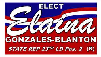 Free download Vote 2020  with Elaina video and edit with RedcoolMedia movie maker MovieStudio video editor online and AudioStudio audio editor onlin