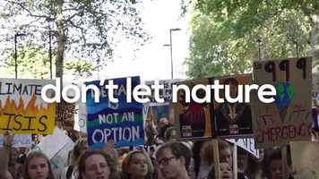 Free download Vote for nature video and edit with RedcoolMedia movie maker MovieStudio video editor online and AudioStudio audio editor onlin