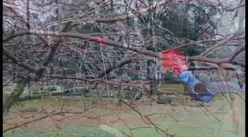 Free download VSAR_1080_Walker_Melody_DadaFilm video and edit with RedcoolMedia movie maker MovieStudio video editor online and AudioStudio audio editor onlin