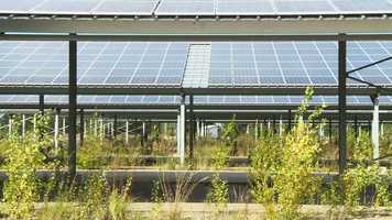 Free download Vt Cinema Europeu 2019 / Vitria video and edit with RedcoolMedia movie maker MovieStudio video editor online and AudioStudio audio editor onlin