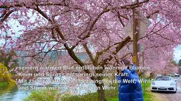 Free download wagner die Walkre video and edit with RedcoolMedia movie maker MovieStudio video editor online and AudioStudio audio editor onlin