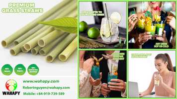 Free download Wahapy Vietnam Grass Straws Are Manufactured Like? video and edit with RedcoolMedia movie maker MovieStudio video editor online and AudioStudio audio editor onlin
