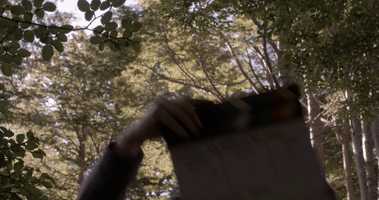 Free download Waia Films - Reel  (2020) video and edit with RedcoolMedia movie maker MovieStudio video editor online and AudioStudio audio editor onlin