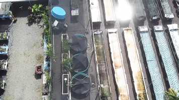 Free download Waiahole Garden Mini Documentary---2020 Winner video and edit with RedcoolMedia movie maker MovieStudio video editor online and AudioStudio audio editor onlin