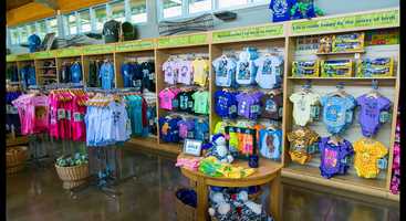 Free download Waikiki Fun video and edit with RedcoolMedia movie maker MovieStudio video editor online and AudioStudio audio editor onlin