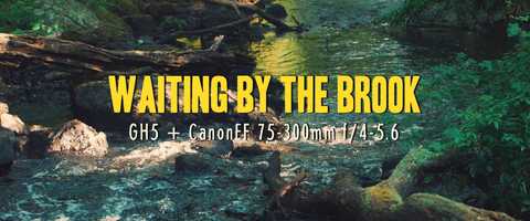 Free download Waiting By The Brook video and edit with RedcoolMedia movie maker MovieStudio video editor online and AudioStudio audio editor onlin