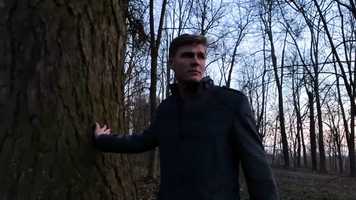 Free download Walk away in Twilight video and edit with RedcoolMedia movie maker MovieStudio video editor online and AudioStudio audio editor onlin