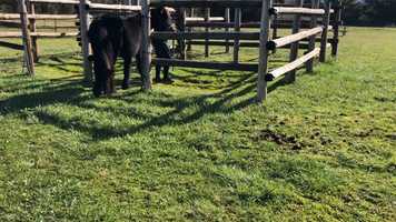 Free download walkin along, singin a song  Feb 27, 2020 video and edit with RedcoolMedia movie maker MovieStudio video editor online and AudioStudio audio editor onlin