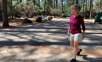 Free download Walking / Fun video and edit with RedcoolMedia movie maker MovieStudio video editor online and AudioStudio audio editor onlin