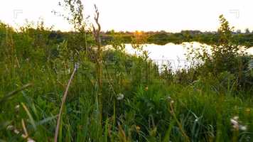 Free download Walking Through Grass Stock Video video and edit with RedcoolMedia movie maker MovieStudio video editor online and AudioStudio audio editor onlin