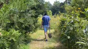 Free download Walk the Green Path - Time Lapse video and edit with RedcoolMedia movie maker MovieStudio video editor online and AudioStudio audio editor onlin