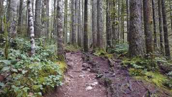 Free download Wallace Falls State Park, Washington | 01.01.2019 video and edit with RedcoolMedia movie maker MovieStudio video editor online and AudioStudio audio editor onlin