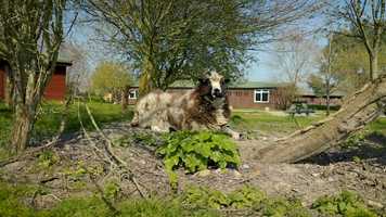 Free download Wall Eden Farm short stay video and edit with RedcoolMedia movie maker MovieStudio video editor online and AudioStudio audio editor onlin